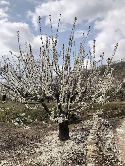 La Duquesa Del Valle Кабесуела дел Вале Екстериор снимка